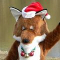 Santa Fox v1